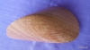 Oloide Meranti