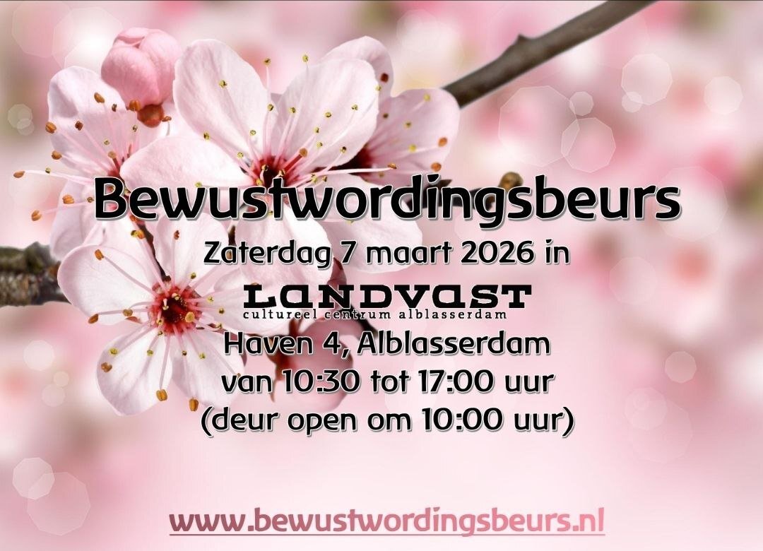 photo 2026 02 17 16 41 21